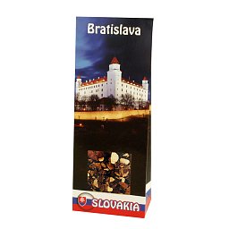 Obrázek pro produkt Mesto Bratislava