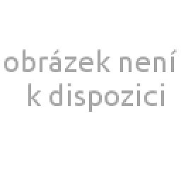 Obrázek pro produkt 100% ovocný džem Černý rybíz 200g